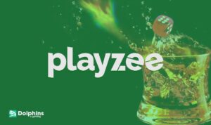 Playzee Casino Review 2