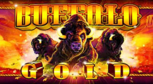 how to win on buffalo slot machine