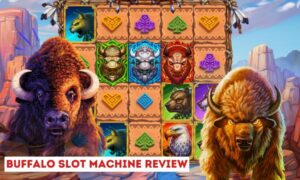 how to play buffalo slot machine