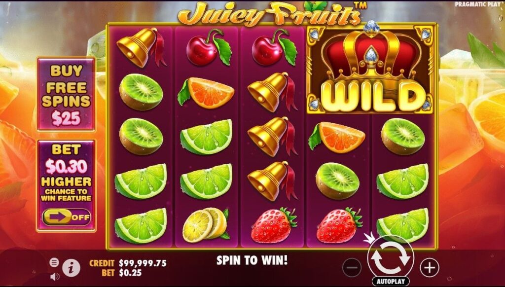 Juicy Fruits Slot Demo