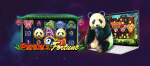 does panda fortune pay real money